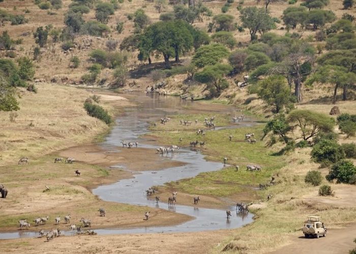 Tarangire National Park rivaer Iggy